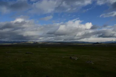 DSC_1026 (Large).JPG